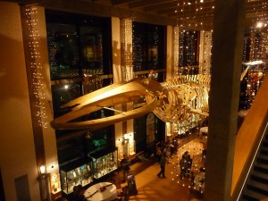 5258766720_8851e26159_z (1)